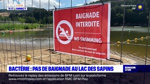 La baignade est interdite au lac des Sapins à cause de bactéries présentes dans l'eau. Seule la piscine naturelle payante reste ouverte | BFM Lyon