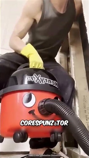 "What he found in his wall" ✅