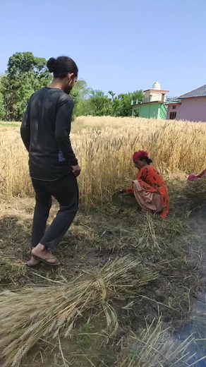 Brave Bariyam Jhunnu on TikTok