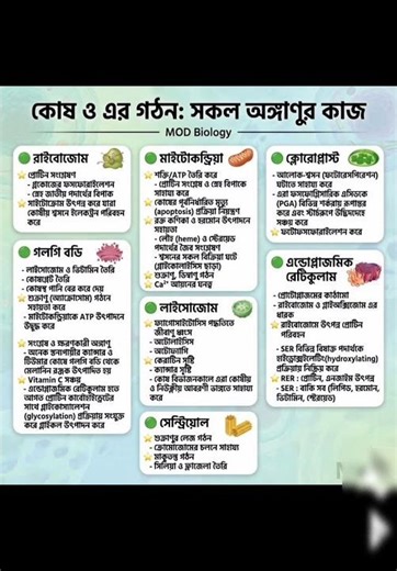 Hsc biology 1st paper chapter 1( কোষ ও এর গঠন) সকল অঙ্গাণুর কাজ। Study With Tanha.