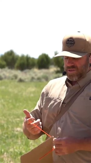 Best Gun Dogs | Let the Bird Train the Dog 🐾🐦 Wild-caught or pen-raised birds are the best teachers! When a dog hits the scent cone, the bird’s natural... | Instagram