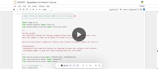 Iris Dataset Classification with TensorFlow/Keras ANN | Sovesh Singh posted on the topic | LinkedIn