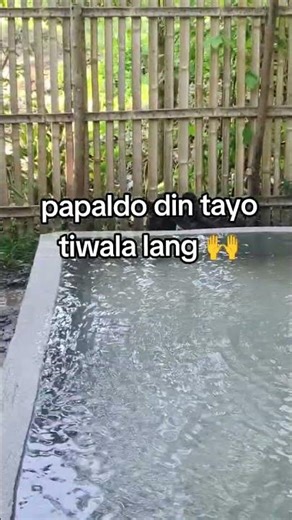 Hit-or-miss approach. Open for tips, corrections, suggestions ✨ #farming