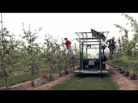 Managing High Density Apple Orchards | Why Plant High Density?