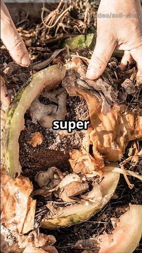 Hot vs Cold Compost: The Speed Test!
