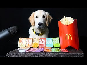 ASMR Dog Reviews McDonalds Sauces!