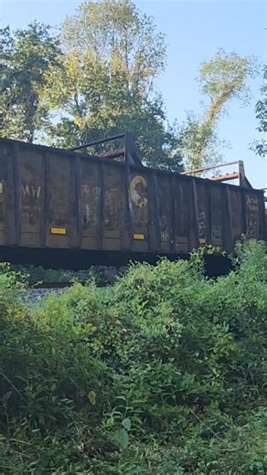 CSX W300(?) with old Chessie System Cars! #freighttrain #csx #mow #maintenance #chessie
