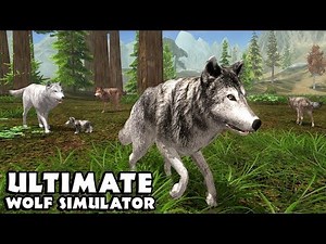 Ultimate Wolf Simulator - High Level - Android/iOS - Gameplay