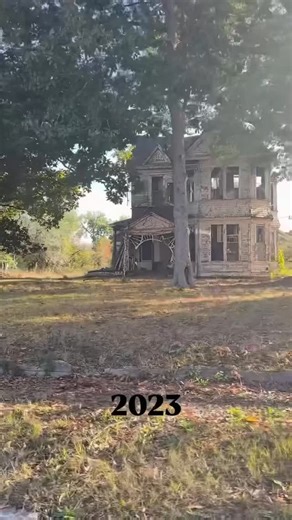 Victorian Architecture on Instagram: "Do you think it’s worth renovating this abandoned Victorian? Or it has gone beyond repair at this point? Step into the Victorian era with me. I’ve gathered my favorite Victorian books, decor pieces, and vintage-style prints all in one place. Curious? Tap the link in my bio to explore the full collection! Credit: @thisplaceinhistory #victorian #victorianera #victorianhouse #victorianrenovation #victorians #victorianstyle #victorianhome #victorianhouses #oldho