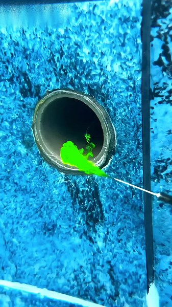 How to check leakage in pool #facts #shorts