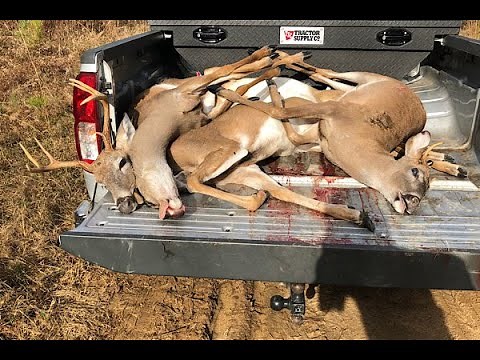 Deer Drive New Years Day 2022 Big Bucks All Over Me!!!!