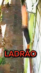 22K views · 291 reactions |  VAMOS ENCONTRAR ESSE NOIA!  ZAP do...