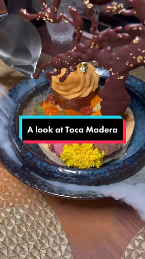 Toca Madera opens on August 9th at Aria Las Vegas #vegas #lasvegas #vegasstarfish #tiktokpartner #tiktoktaughtme #tocamadera #arialasvegas #vegaslocal