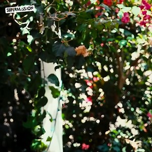 Everyone Can Use A Helping Hand Sometimes ❤️ | Love & Beyond