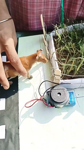 science project ideas #cropprotection