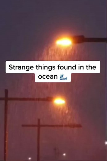 Exploring Strange Things Found Deep in the Ocean