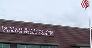 Saginaw County Animal Care and Control now in its new space