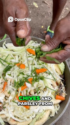 Ultimate Guide Jamacian Breadfruit Stew Recipe Revealed! Caribou #content #pov #carribean food 🍱