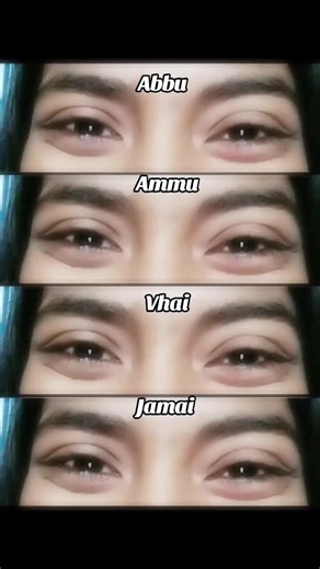 Humorous Family Moments