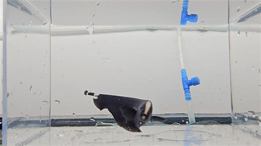 𝒄𝒆𝒔𝒔𝒂𝒒𝒖𝒂𝒕𝒊𝒄𝒔 on Reels