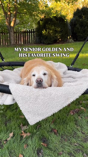 4.2M views · 261K reactions | Riley’s favorite time of the day ❤️ | Riley the Golden Retriever | Facebook