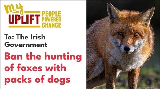 Join 27,000 others in signing the Uplift “Ban Fox Hunting” petition