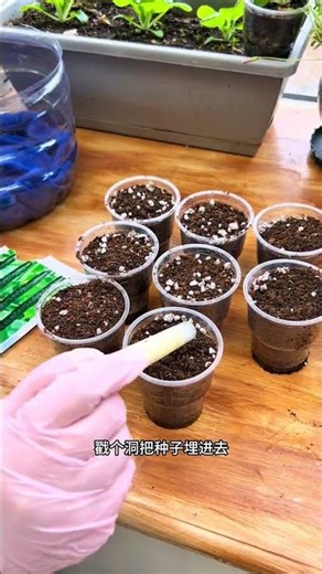 Ultimate Seedling Heat Preservation Technique Explained