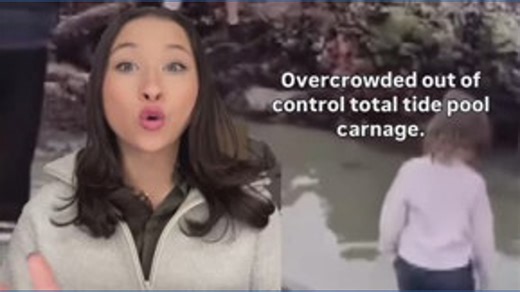 A video shows crowds of people at the La Jolla Tide Pools on Saturday. Online posts reported people stepping on wildlife and pulling marine life out of the water. | CBS 8 San Diego