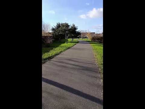 A Peaceful Neighborhood No One Talks About – Exploring Mâcon With My Son