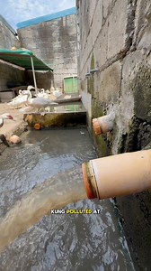 1.1M views · 4.8K reactions | 3 scary things na mangyayari kung overdue kana sa paglilinis ng filter sa fishpond | Kahoneho | Facebook