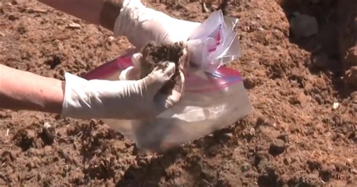 Residents find toxic lead levels after wildfires