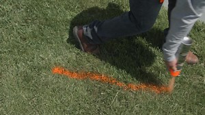 Rust-Oleum Professional 15 oz. 2X Safety Red Marking Spray Paint 266591