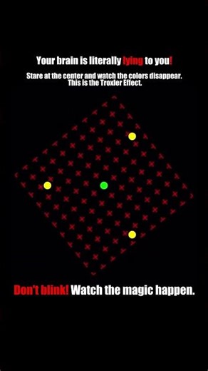 FOCUS IS THE NEW CURRENCY. $$$$🪙