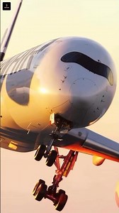 Airoplane vs Ship Pilot Salary! #shorts