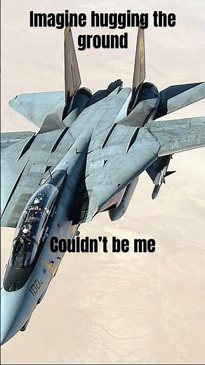 F-14 meme #aviation #simulation #fyp #memes