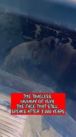 The Timeless Mummy of Yuya — The Face That Still Speaks After 3,000 Years Inside the Egyptian Museum in Cairo rests one of the most extraordinary mummies ever discovered — Yuya, the father of Queen Tiye and grandfather of Pharaoh Akhenaten. Over 3,300 years have passed, yet his features remain incredibly preserved — his skin, his hair, even the calmness in his expression still carry the silence of ancient Egypt. Yuya wasn’t a king, but his bloodline shaped the destiny of Egypt itself. Through hi