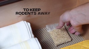 Victor M460UC Zapper Max Outdoor Humane Electronic Rat Trap - Instant Kill Rat Electric Trap