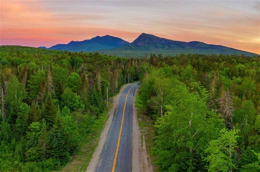 This Is the Most Forest-covered State in the U.S.—and No, It’s Not Washington or Oregon