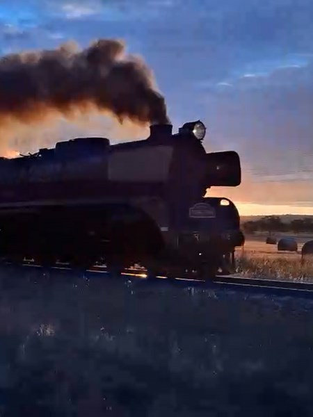 The Picnic Train on TikTok