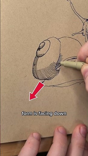 How to use lines to their fullest potential.
