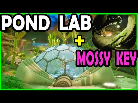 Pond Lab and Mossy Key Walk Through Grounded 1.0