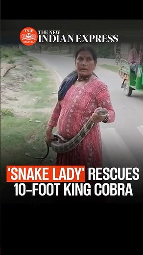Watch | Bihar's 'Snake Lady' Safely Rescues 10-Foot King Cobra