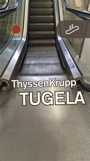 #ThyssenKrupp Tugela FT-842 #Escalator [Up, -1-0] | Zürich HB, Zurich, Switzerland [Platforms 14-15]