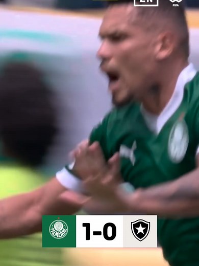 Palmeiras vs Botafogo: Resumen en 60 segundos