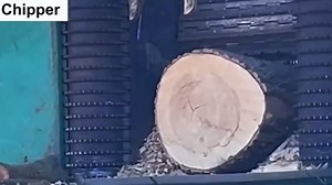 99 High-Speed Wood Sawmill Machines Cutting Logs Like Never Before