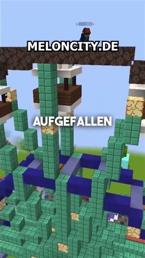 Das HÄSSLICHSTE Riesenrad AUF MEINEM CITYBUILD SERVER. 🤪 #minecraft #minecraftserver