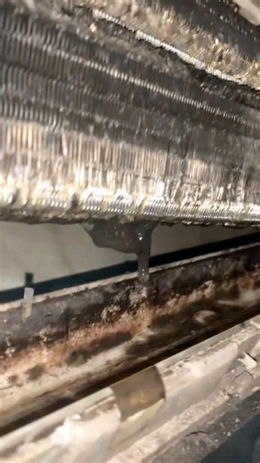 Mini Split Not Cooling in Royal Palm Beach | Restricted Airflow Discovered