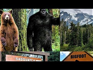 Mystery, Legend & Sightings of BIGFOOT