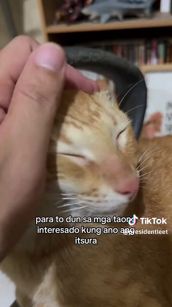 Ponpon Makeup Tutorial by President Leet