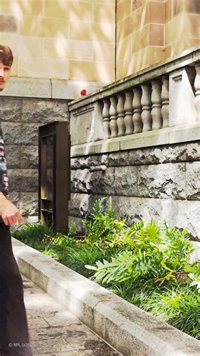 If you’re seeing this the algorithm thought you’d like our new Oversized Tees🔥 Brand new designs featuring Chainsaw Man, Halo, spider-Noir, Lord of the Rings, Pokémon & MORE! | EB Games Australia